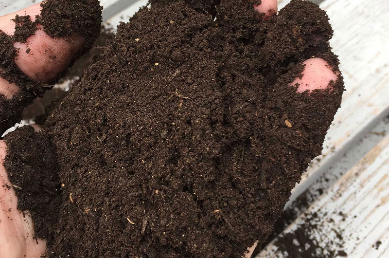 Humus PerTerra granulometria <6 mm Big Bag 1700lt / 10 qli ca. - immagine 3
